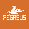 Pegasus Yayınları